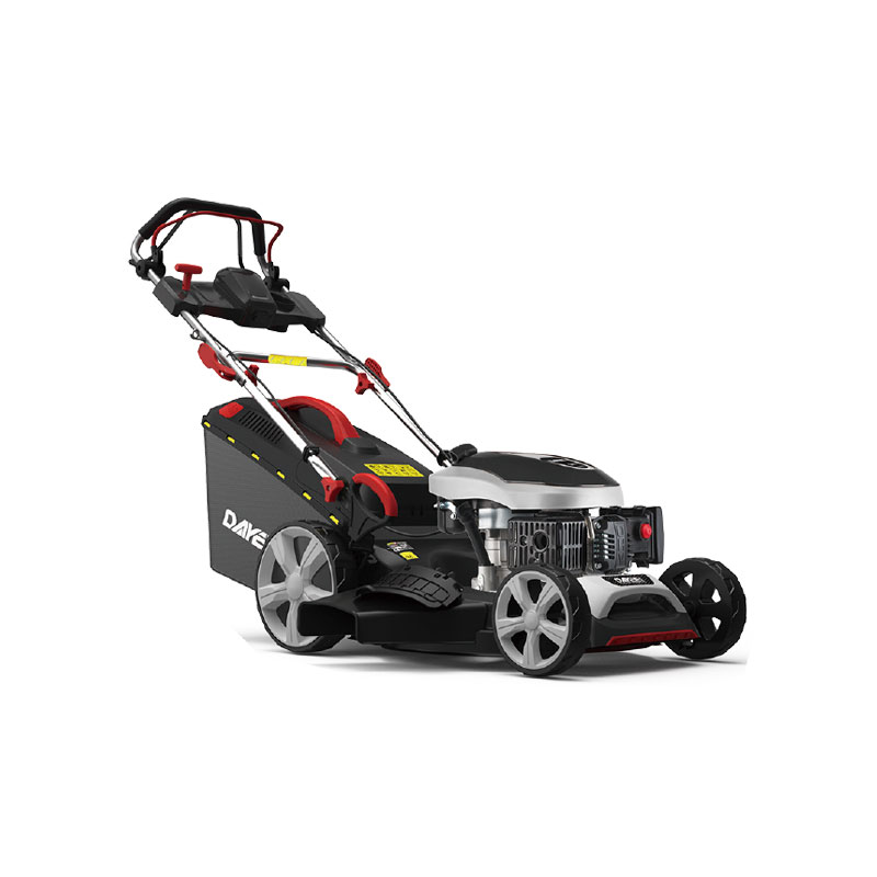 DY202-196SM-06V